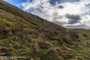 Great Whernside