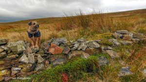 Harbour Hill & Oxenhope Stoop Hill