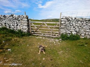Hawkswick Clowder I – Wild Camp #012