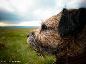Hawkswick Clowder I – Wild Camp #012