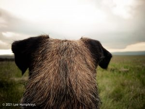 Hawkswick Clowder I – Wild Camp #012