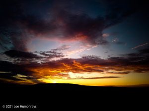 Hawkswick Clowder I – Wild Camp #012