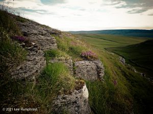 Hawkswick Clowder I – Wild Camp #012