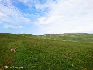 Hawkswick Clowder I – Wild Camp #012