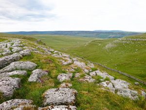 Hawkswick Clowder I – Wild Camp #012