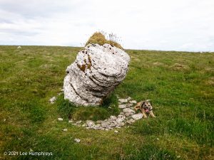 Hawkswick Clowder I – Wild Camp #012