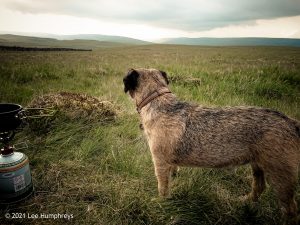Hawkswick Clowder I – Wild Camp #012