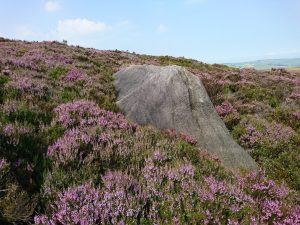 Haworth to Ickornshaw Moor