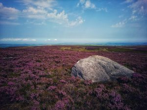 Haworth to Ickornshaw Moor