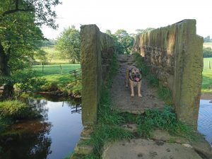 Haworth to Ickornshaw Moor
