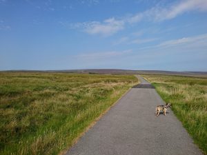 Haworth to Ickornshaw Moor