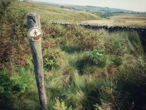 Haworth to Ickornshaw Moor