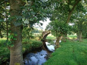 Haworth to Ickornshaw Moor