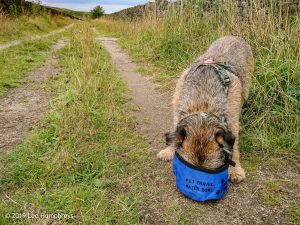 Hewenden Half
