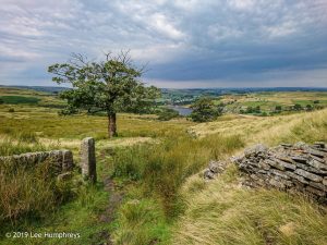 Hewenden Half