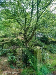 Hewenden Half