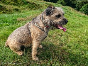 Hewenden Half