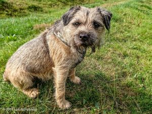 Hewenden Half