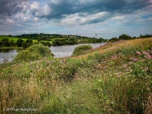 Hewenden Half