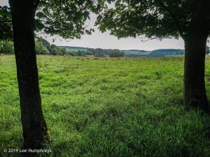 Hewenden Half