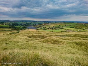 Hewenden Half