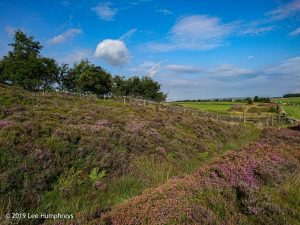Hewenden Half