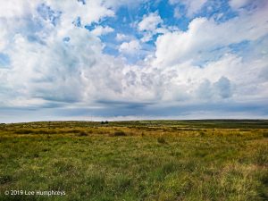 Hewenden Half