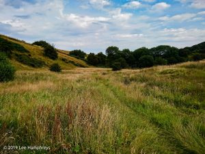 Hewenden Half