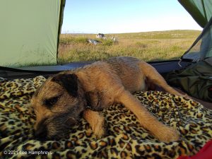 High Mark I, Malham – Wild Camp #013