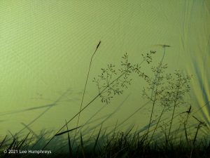 High Mark I, Malham – Wild Camp #013