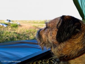 High Mark I, Malham – Wild Camp #013