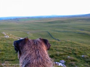 High Mark I, Malham – Wild Camp #013