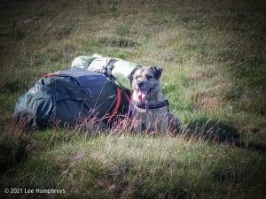High Mark I, Malham – Wild Camp #013