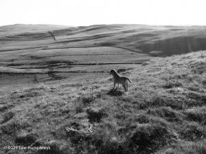 High Mark I, Malham – Wild Camp #013