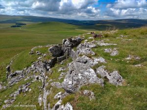High Mark II – Wild Camp #014