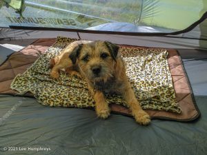 High Mark II – Wild Camp #014