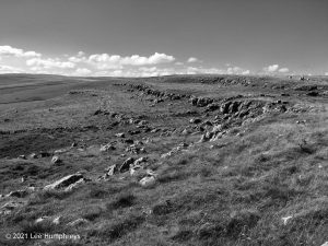 High Mark II – Wild Camp #014