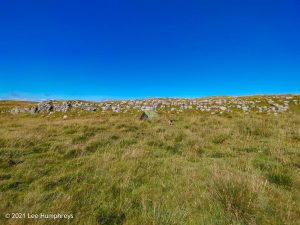 High Mark II – Wild Camp #014