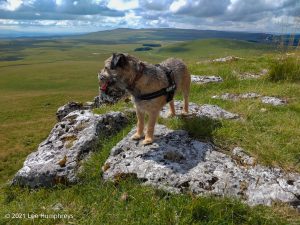 High Mark II – Wild Camp #014