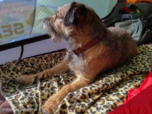 High Mark II – Wild Camp #014