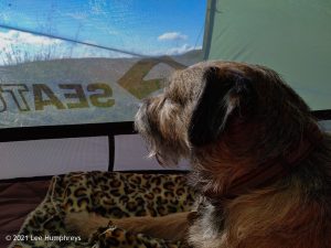 High Mark II – Wild Camp #014