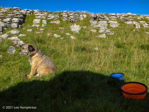High Mark II – Wild Camp #014