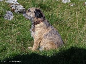 High Mark II – Wild Camp #014