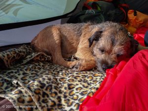 High Mark II – Wild Camp #014