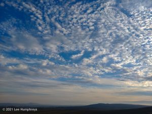 High Mark II – Wild Camp #014