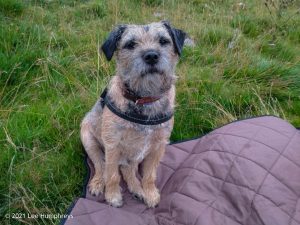 High Mark II – Wild Camp #014