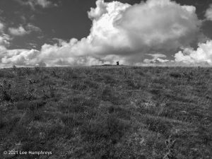 High Mark II – Wild Camp #014