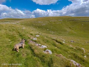 High Mark II – Wild Camp #014