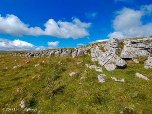 High Mark II – Wild Camp #014