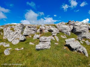 High Mark II – Wild Camp #014